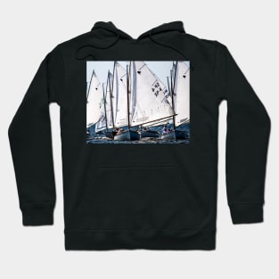 A Flock of Sandpipers Hoodie